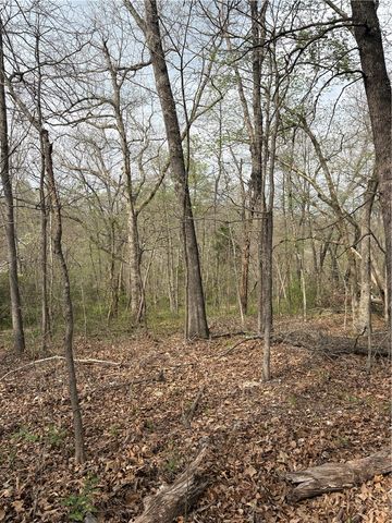 Belgravia Drive Lot 5 Block 3, Bella Vista, AR 72715