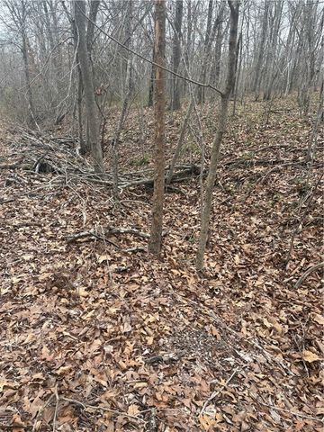 Belgravia Drive Lot 5 Block 3, Bella Vista, AR 72715