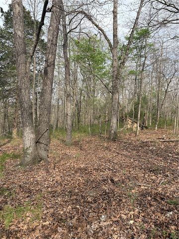 Belgravia Drive Lot 5 Block 3, Bella Vista, AR 72715