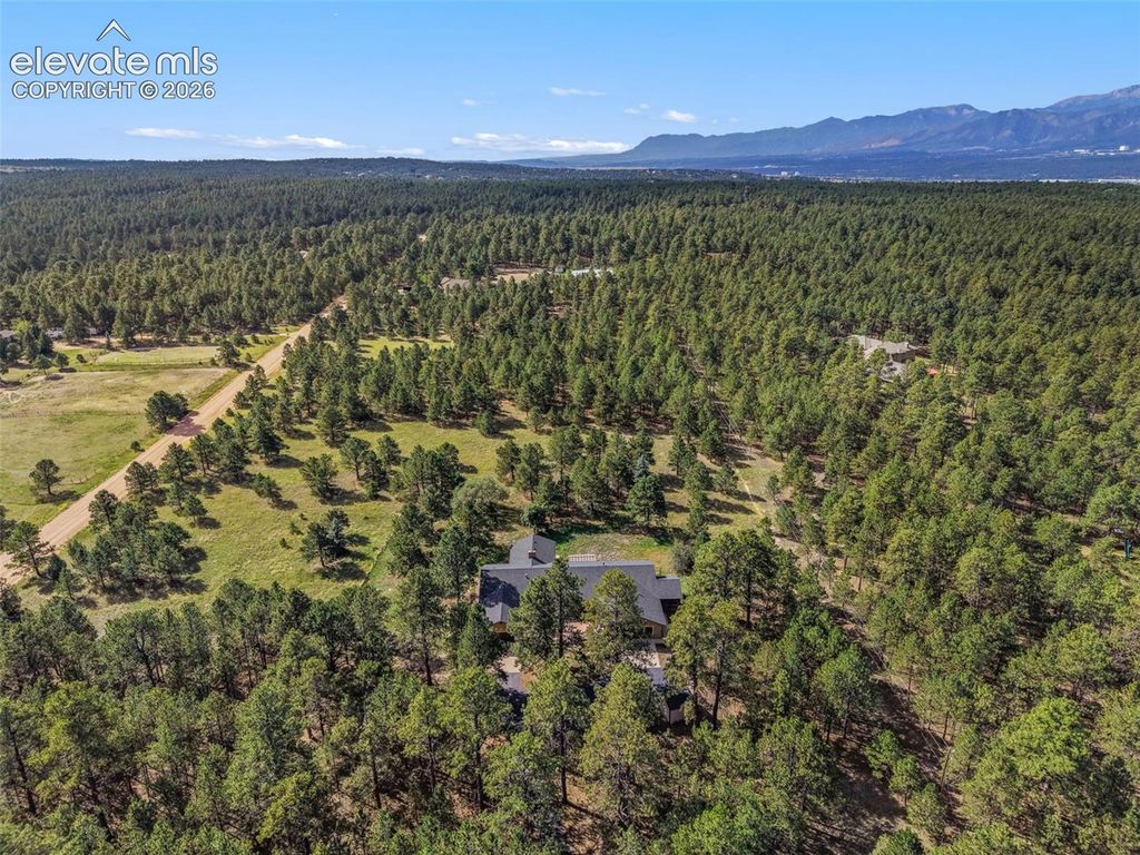 18490 E Forest Drive, Monument, CO 80132 — photo 4