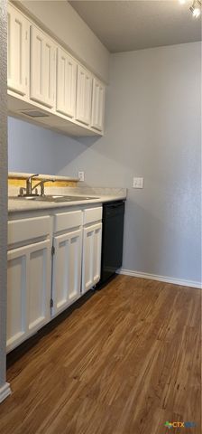1202 Thorpe Lane 408, San Marcos, TX 78666