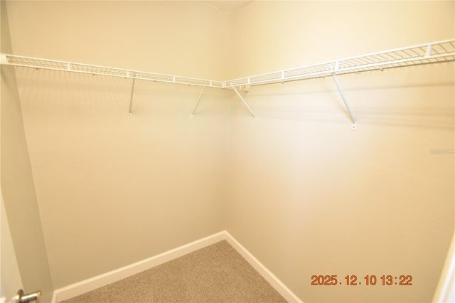 14051 TROPICAL KINGBIRD WAY, Riverview, FL 33579