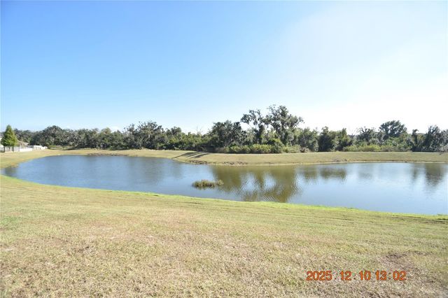 14051 TROPICAL KINGBIRD WAY, Riverview, FL 33579