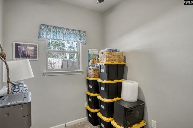 303 Lever Bottom Court, Chapin, SC 29036