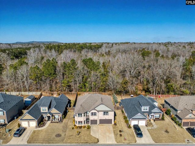 303 Lever Bottom Court, Chapin, SC 29036