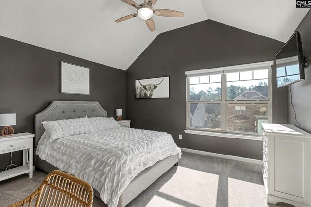 303 Lever Bottom Court, Chapin, SC 29036