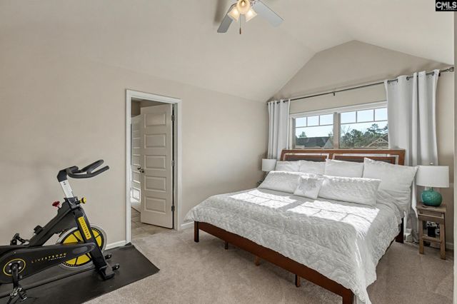 303 Lever Bottom Court, Chapin, SC 29036