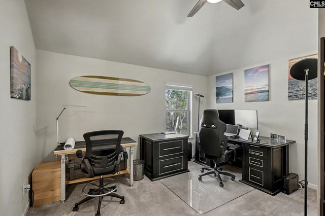 303 Lever Bottom Court, Chapin, SC 29036