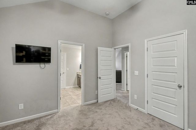 303 Lever Bottom Court, Chapin, SC 29036