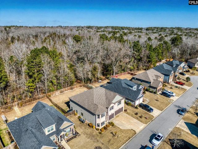 303 Lever Bottom Court, Chapin, SC 29036
