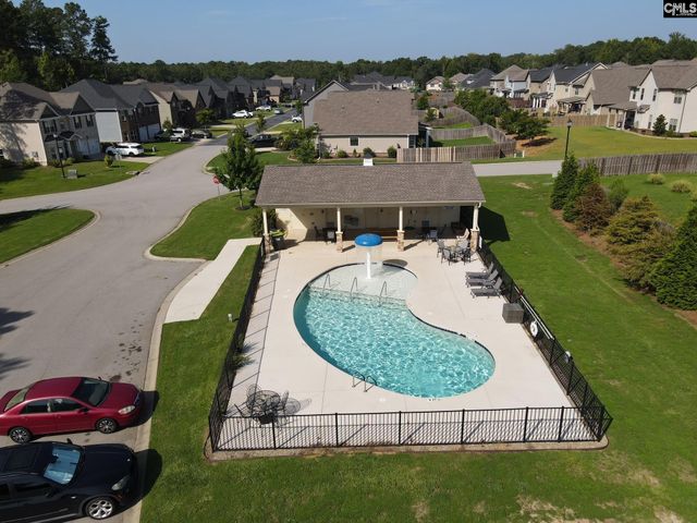 303 Lever Bottom Court, Chapin, SC 29036