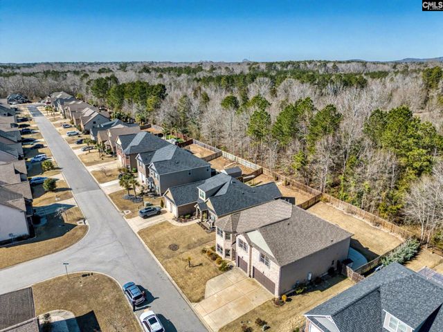 303 Lever Bottom Court, Chapin, SC 29036