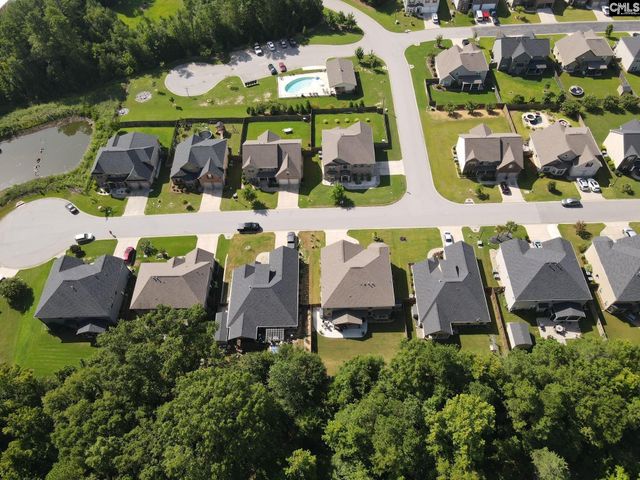 303 Lever Bottom Court, Chapin, SC 29036