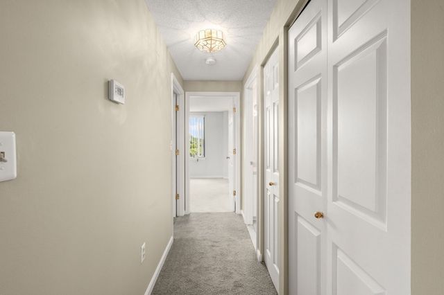 59 Valley 5H, Medford, MA 02155