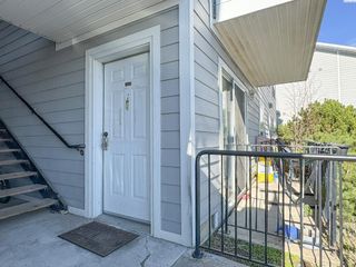 1645 NE Merman Dr Apt C203, Pullman, WA 99163