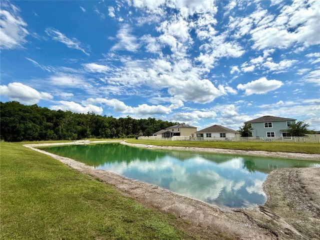 32794 PEZ LANDING LANE, Wesley Chapel, FL 33543
