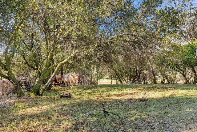 12320 Poppy Lane, Auburn, CA 95602