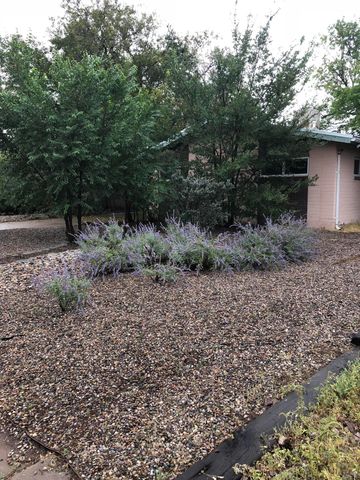 708 Caine Street, Socorro, NM 87801