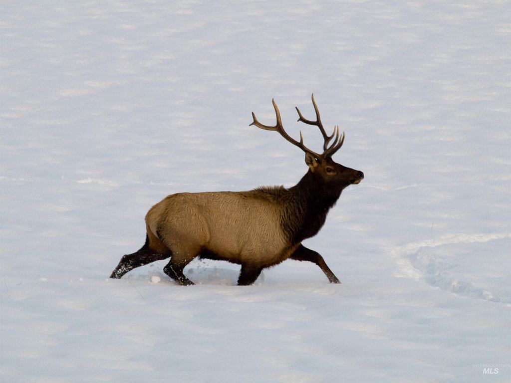 Blk 10 Lot 14 Whitewater Way, Garden Valley, ID 83622 photo 22