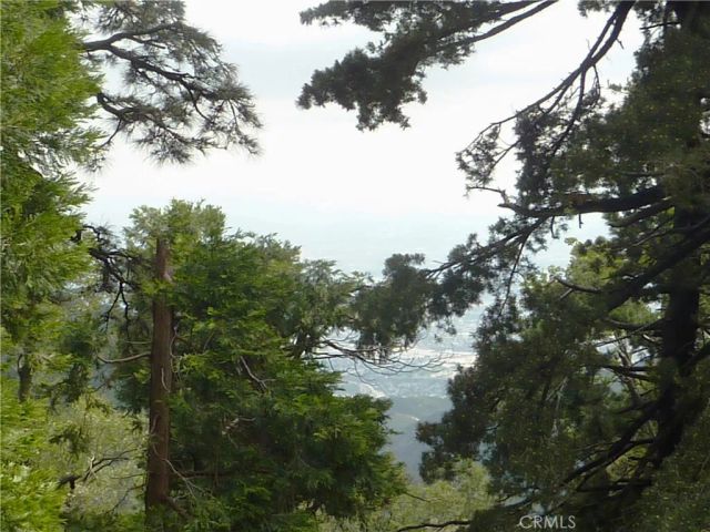 21531 Sawpit Canyon Road, Cedarpines Park, CA 92322