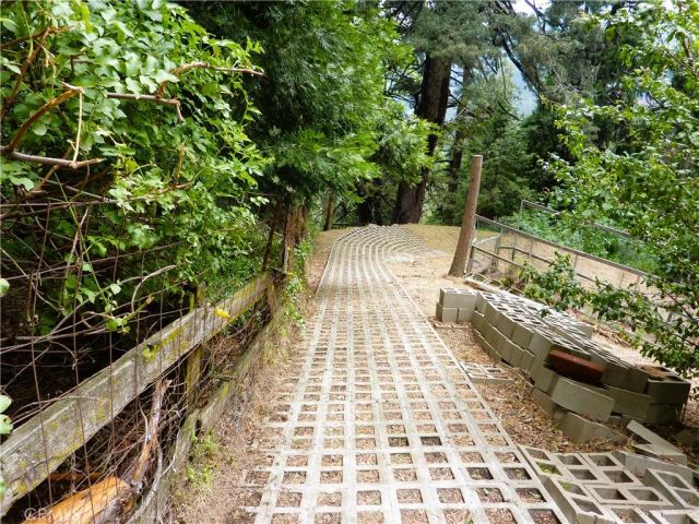 21531 Sawpit Canyon Road, Cedarpines Park, CA 92322