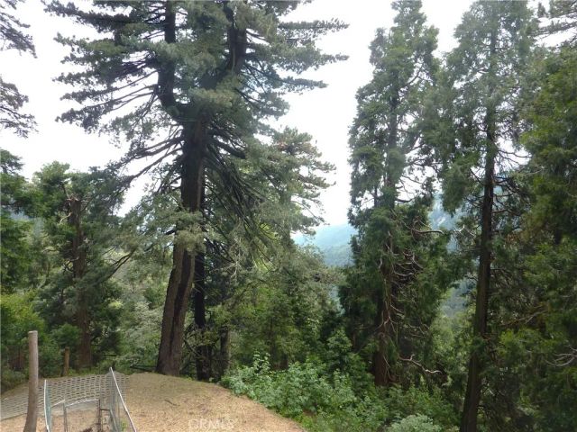 21531 Sawpit Canyon Road, Cedarpines Park, CA 92322