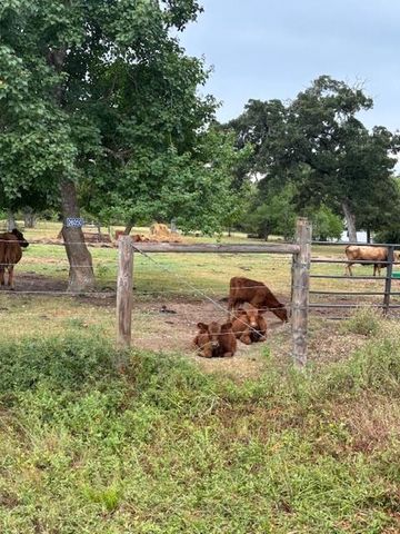 26050 Forest Hills Lane, Waller, TX 77484