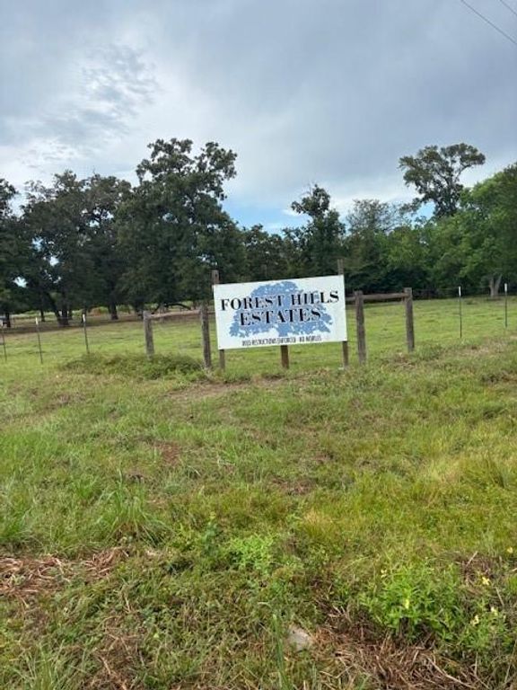 26050 Forest Hills Lane, Waller, TX 77484