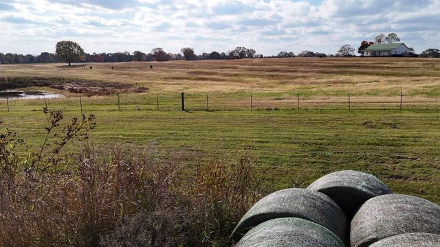 1768 Cutoff Road Road, Clinton, AR 72031