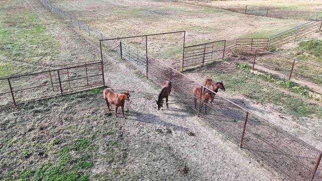 1768 Cutoff Road Road, Clinton, AR 72031