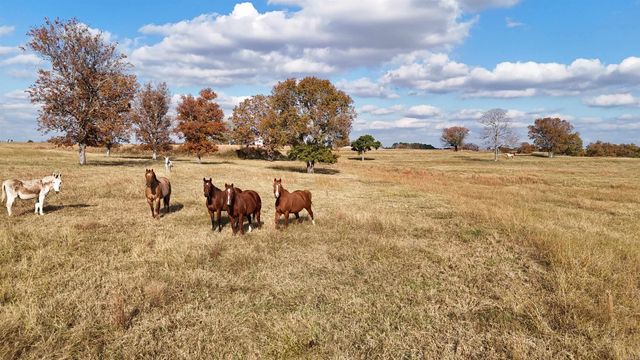 1768 Cutoff Road Road, Clinton, AR 72031