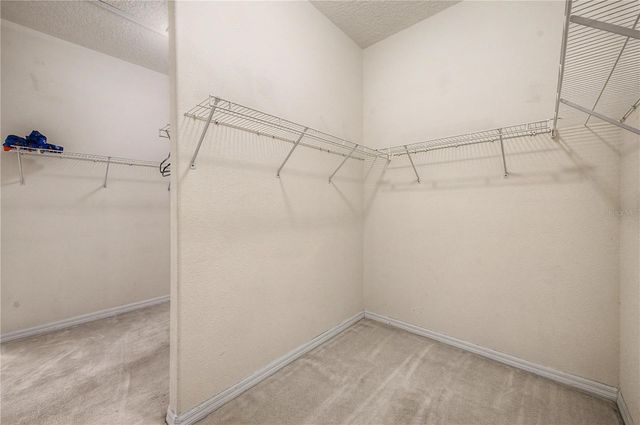 18615 CHEMILLE DRIVE, Lutz, FL 33558
