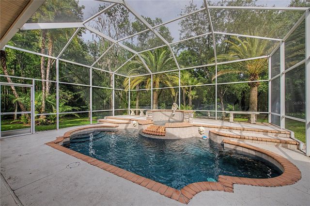 18615 CHEMILLE DRIVE, Lutz, FL 33558