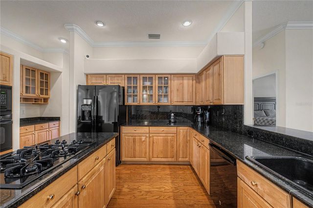 18615 CHEMILLE DRIVE, Lutz, FL 33558