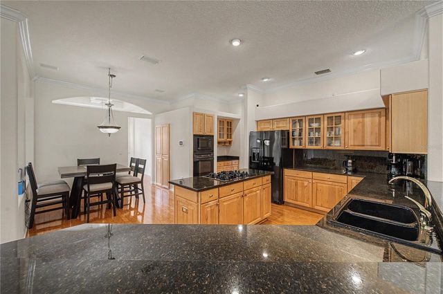 18615 CHEMILLE DRIVE, Lutz, FL 33558