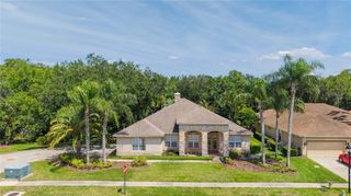 18615 CHEMILLE DRIVE, Lutz, FL 33558
