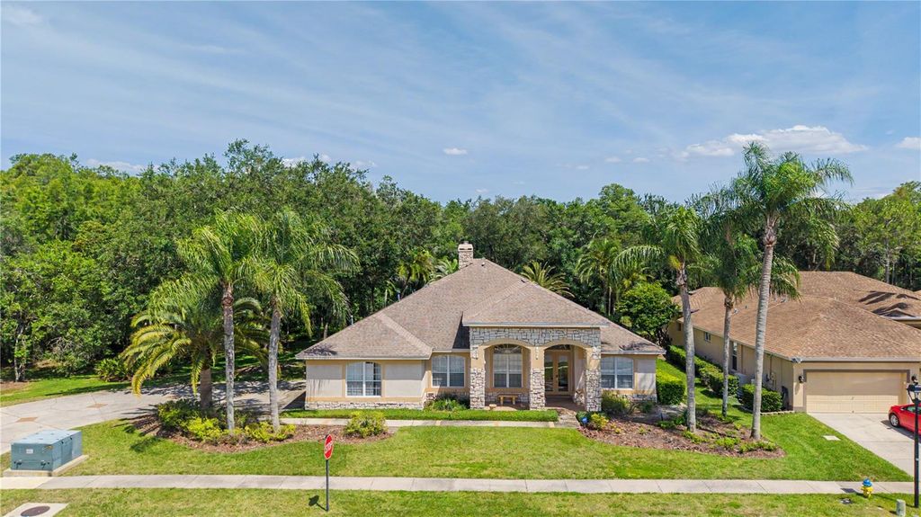 18615 CHEMILLE DRIVE, Lutz, FL 33558
