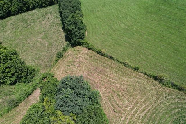 7370 Energy Road, Ewing, KY 41039