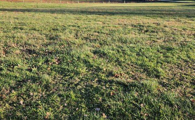 7370 Energy Road, Ewing, KY 41039