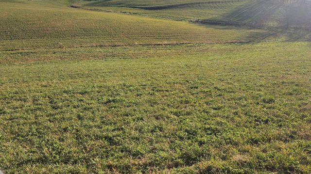 7370 Energy Road, Ewing, KY 41039