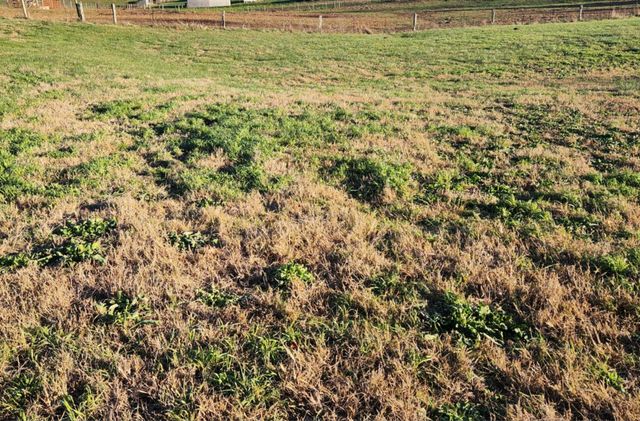 7370 Energy Road, Ewing, KY 41039