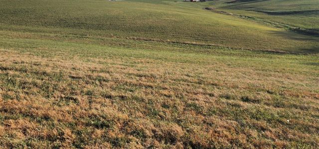 7370 Energy Road, Ewing, KY 41039