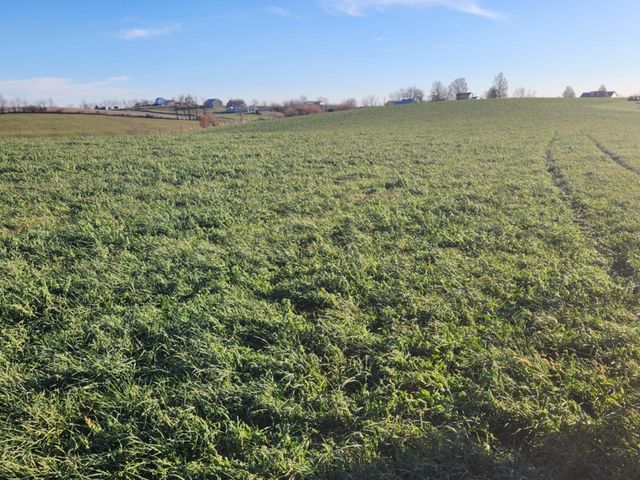 7370 Energy Road, Ewing, KY 41039