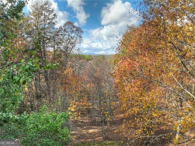 100 Arrow Way, Mineral Bluff, GA 30559