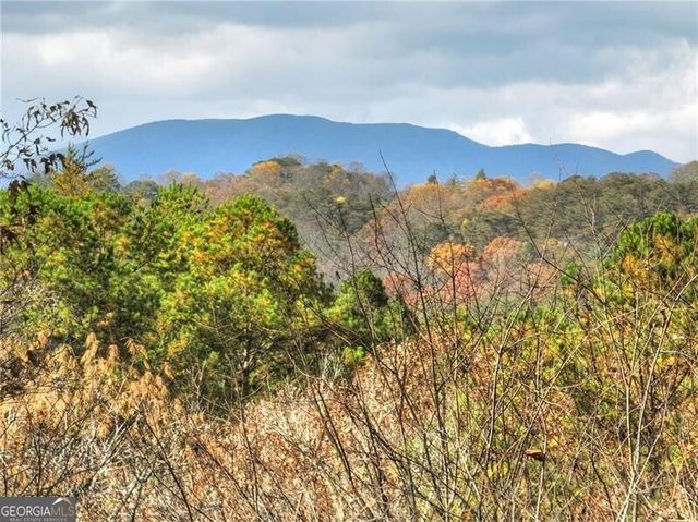 100 Arrow Way, Mineral Bluff, GA 30559