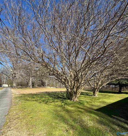 254 Shiloh Road N, Hazel Green, AL 35750