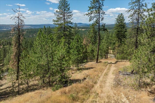 XX Weaver Parcels C & D Way, Deer Park, WA 99006