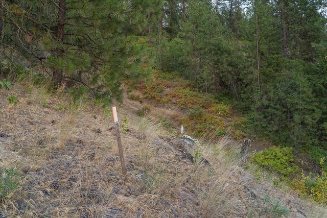 XX Weaver Parcels C & D Way, Deer Park, WA 99006