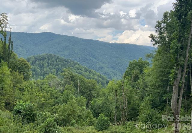 10 Zenith Drive, Waynesville, NC 28785