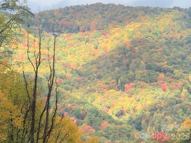 10 Zenith Drive, Waynesville, NC 28785